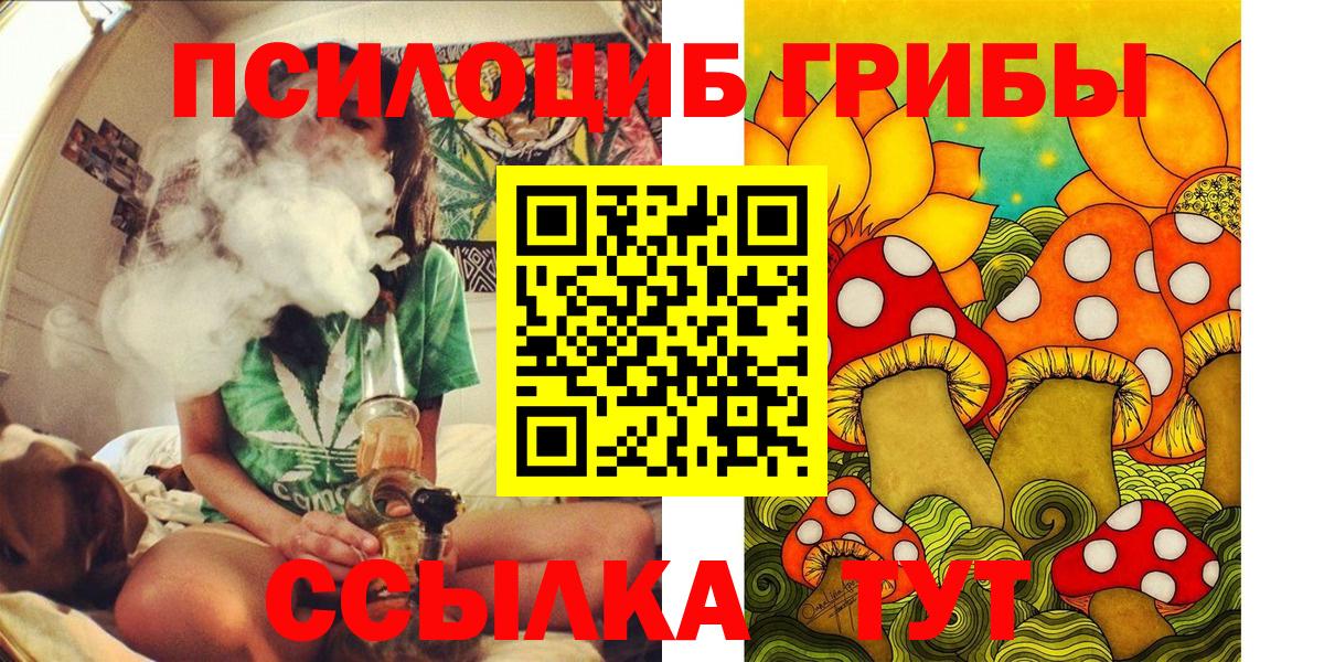 Псилоцибиновые грибы Psilocybe Зима