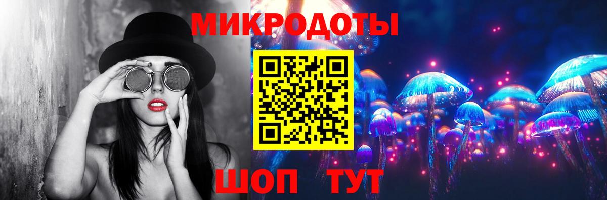 Псилоцибиновые грибы Cubensis  Вход с VPN  Зима 